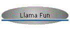 Llama Fun