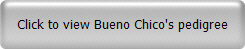 Click to view Bueno Chico's pedigree